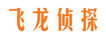 高阳市私家侦探